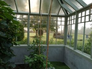 Carmen and Robert Place_Co. Sligo