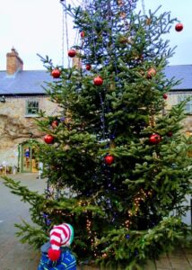 Red Apples on an Evergreen Tree