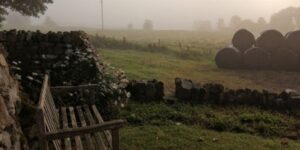 Cosy Irish Cottages_Russborough House