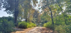 Family Vacation Fleesensee